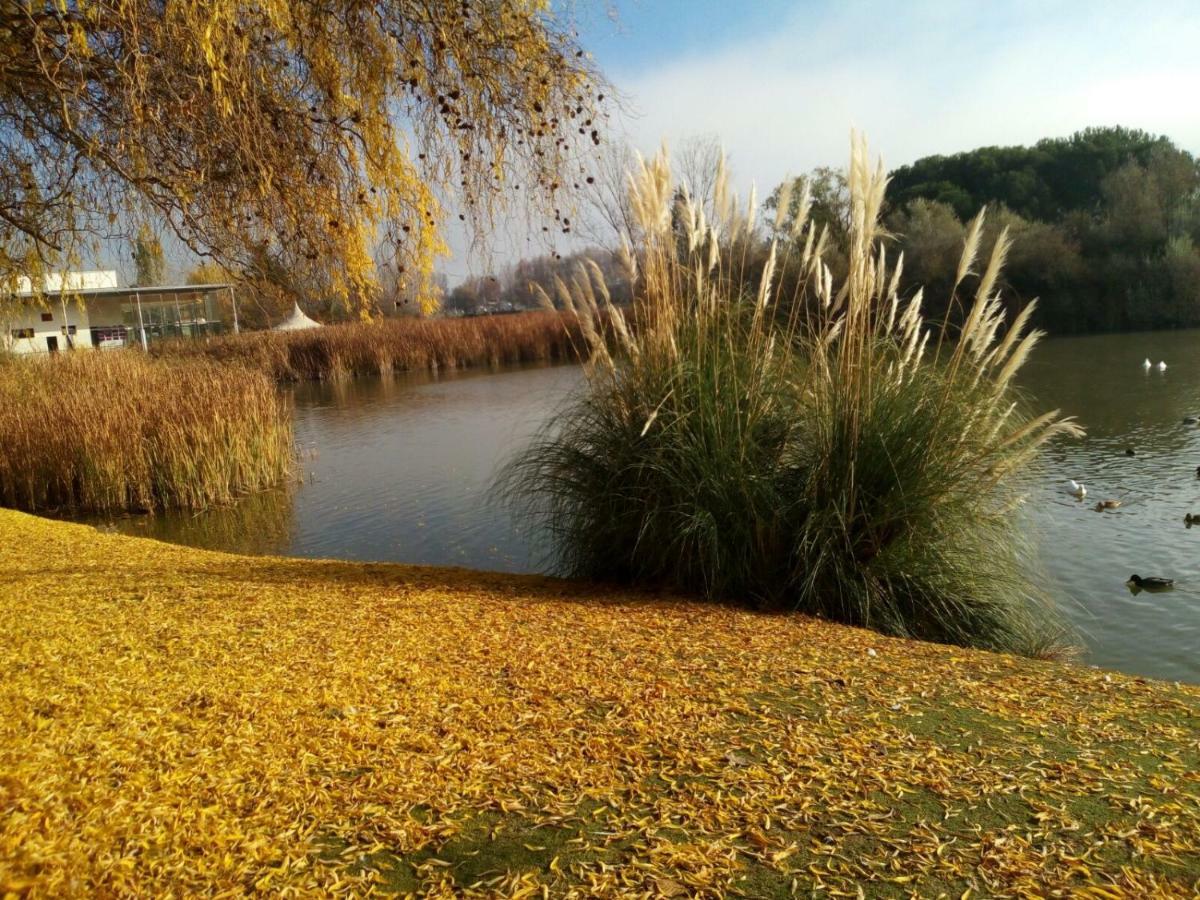 La Laguna Laguna de Duero Exterior foto